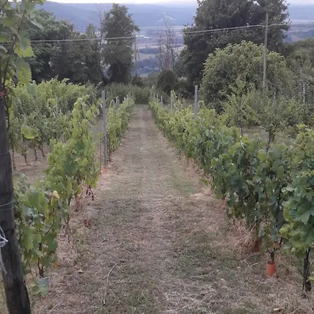 L' Incanto Tatil Evi *