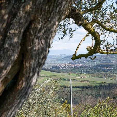 Vakantiehuis L' Incanto *